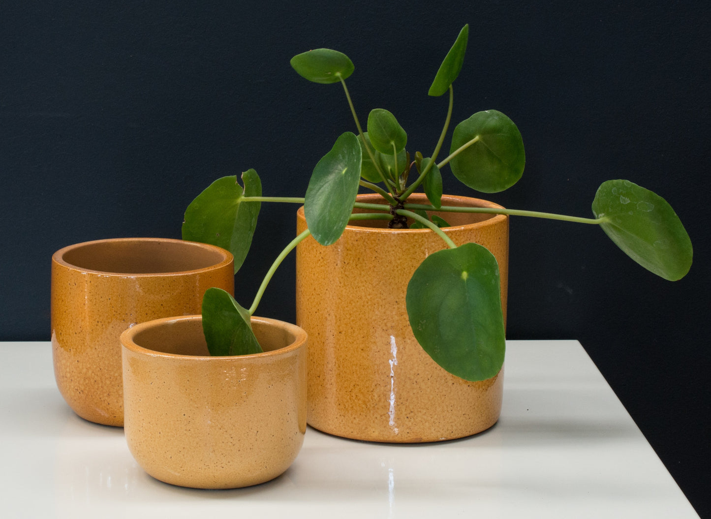 Handmade Ceramic Pot Cactus