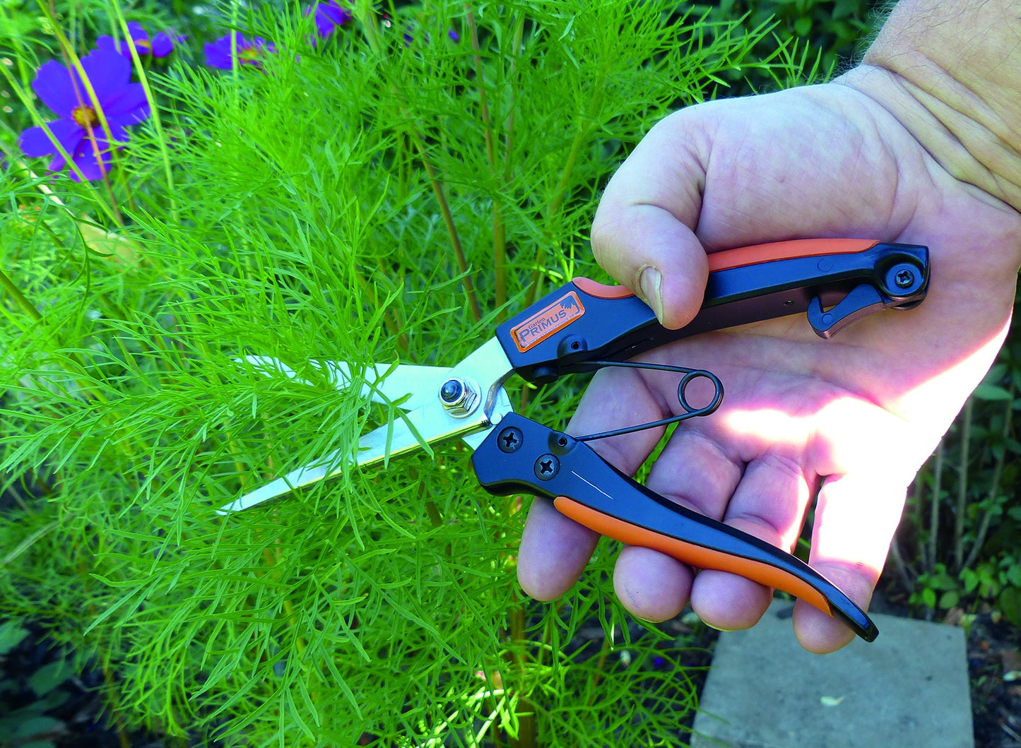 Pruner Herbs and Shrubs GP1050