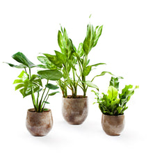 Load image into Gallery viewer, Handmade Ceramic Pot Bubbles