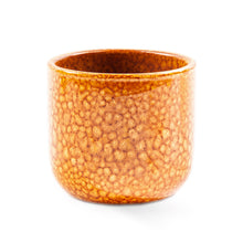 Load image into Gallery viewer, Handmade Ceramic Pot Cactus