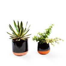 Load image into Gallery viewer, Handmade Ceramic Pot Dipped Terracotta