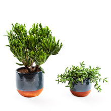 Load image into Gallery viewer, Handmade Ceramic Pot Dipped Terracotta