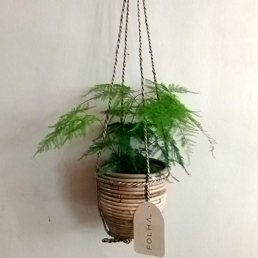 Basket Hanging Rattan Grey