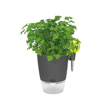 Load image into Gallery viewer, elho Brussels Herb Planter