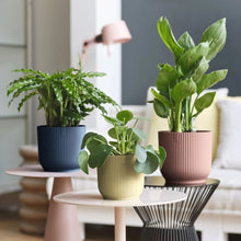 Load image into Gallery viewer, elho Vibes Fold Round Pot