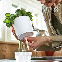 Load image into Gallery viewer, elho Brussels Herb Planter