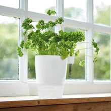 Load image into Gallery viewer, elho Brussels Herb Planter
