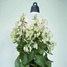 Load image into Gallery viewer, elho Leaf Light Care