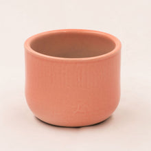 Load image into Gallery viewer, Handmade Ceramic Pot Cactus