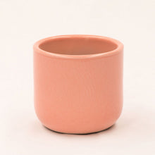 Load image into Gallery viewer, Handmade Ceramic Pot Cactus