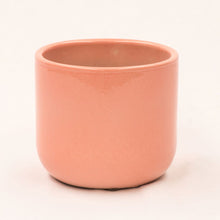 Load image into Gallery viewer, Handmade Ceramic Pot Cactus