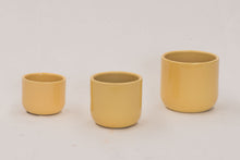 Load image into Gallery viewer, Handmade Ceramic Pot Cactus