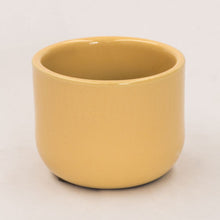 Load image into Gallery viewer, Handmade Ceramic Pot Cactus