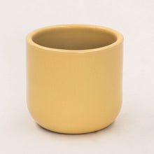 Load image into Gallery viewer, Handmade Ceramic Pot Cactus