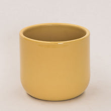 Load image into Gallery viewer, Handmade Ceramic Pot Cactus