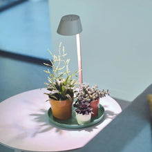 Load image into Gallery viewer, elho Plant Light Care