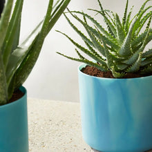 Load image into Gallery viewer, elho Ocean Collection Pot