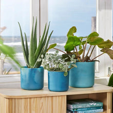 Load image into Gallery viewer, elho Ocean Collection Pot