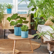 Load image into Gallery viewer, elho Ocean Collection Pot