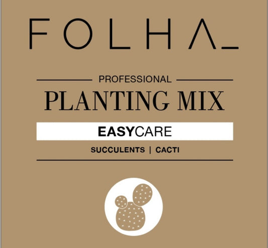 Premium Succulent & Cacti Soil