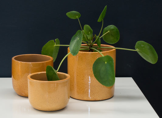 Handmade Ceramic Pot Cactus