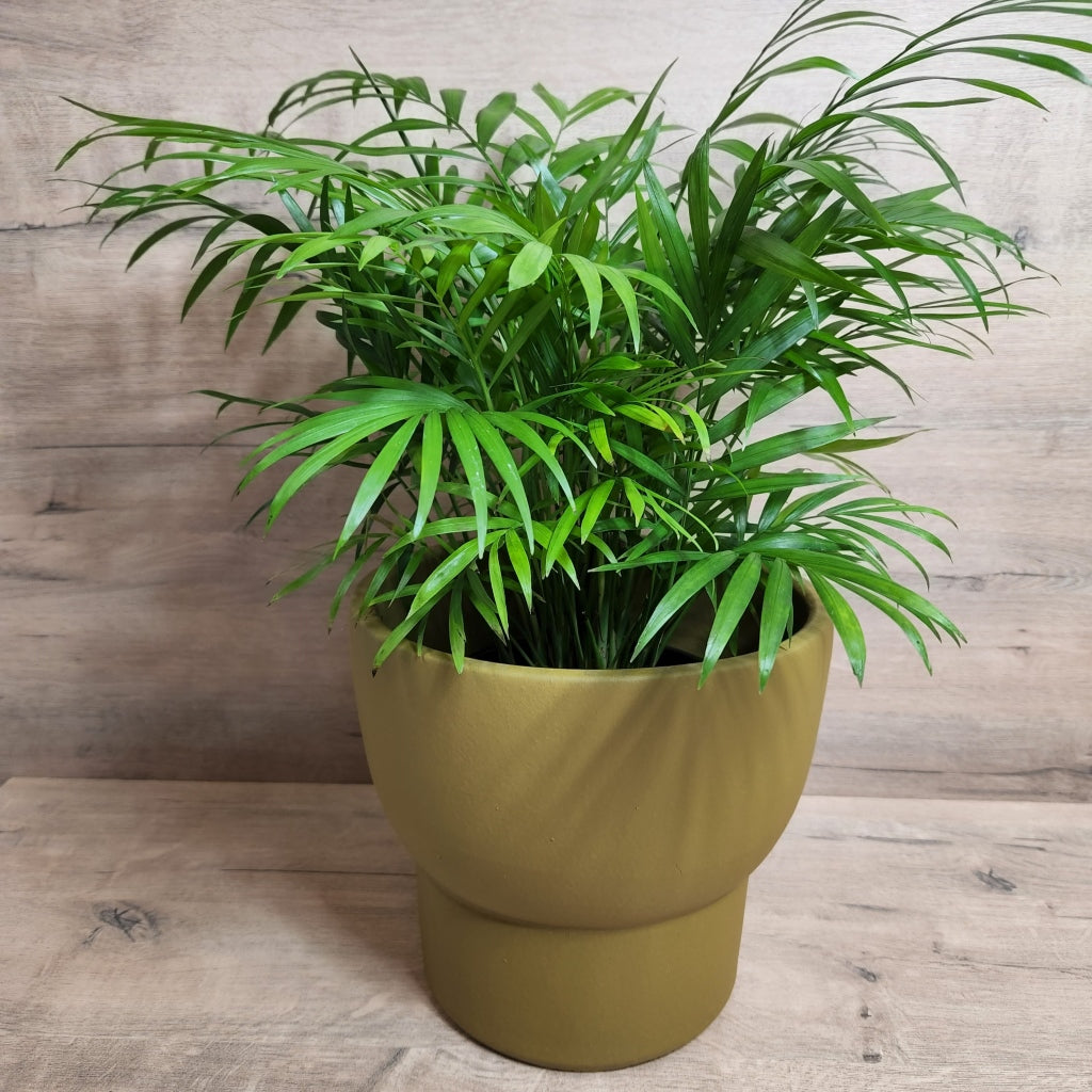 Handmade Ceramic Pot Lioz