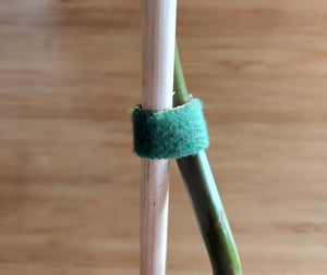 Plant Ties - Reusable 100cm 2pk