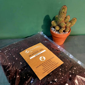 Michells Premium Succulent & Cacti Mix 5L