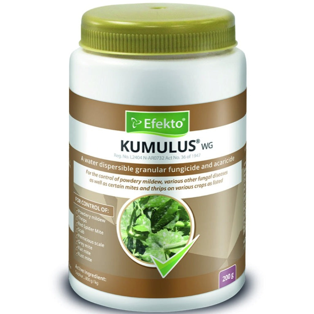 Efekto Kumulus WG 200G