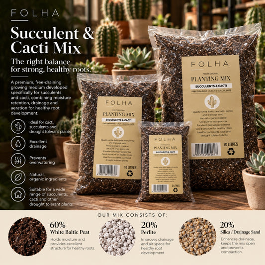 Professional Succulent & Cacti Soil
