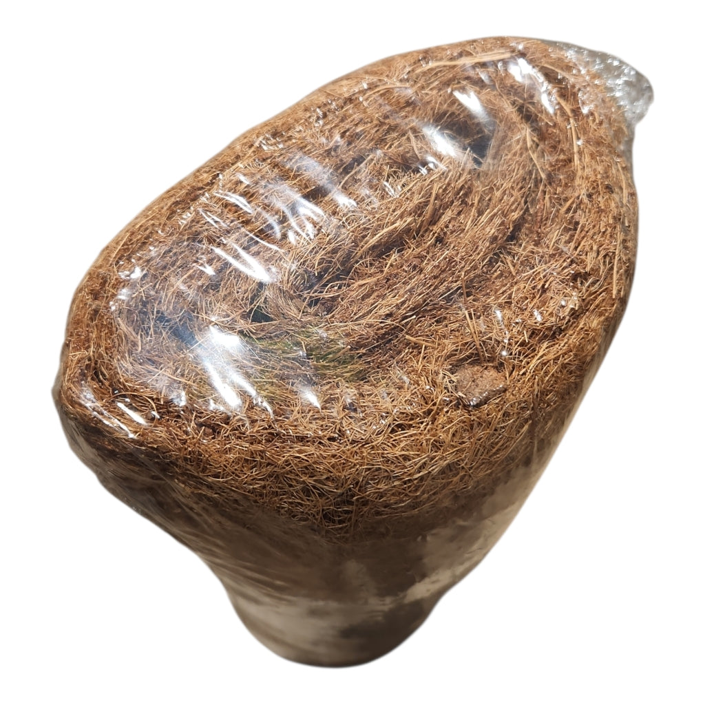 Coco Coir Roll