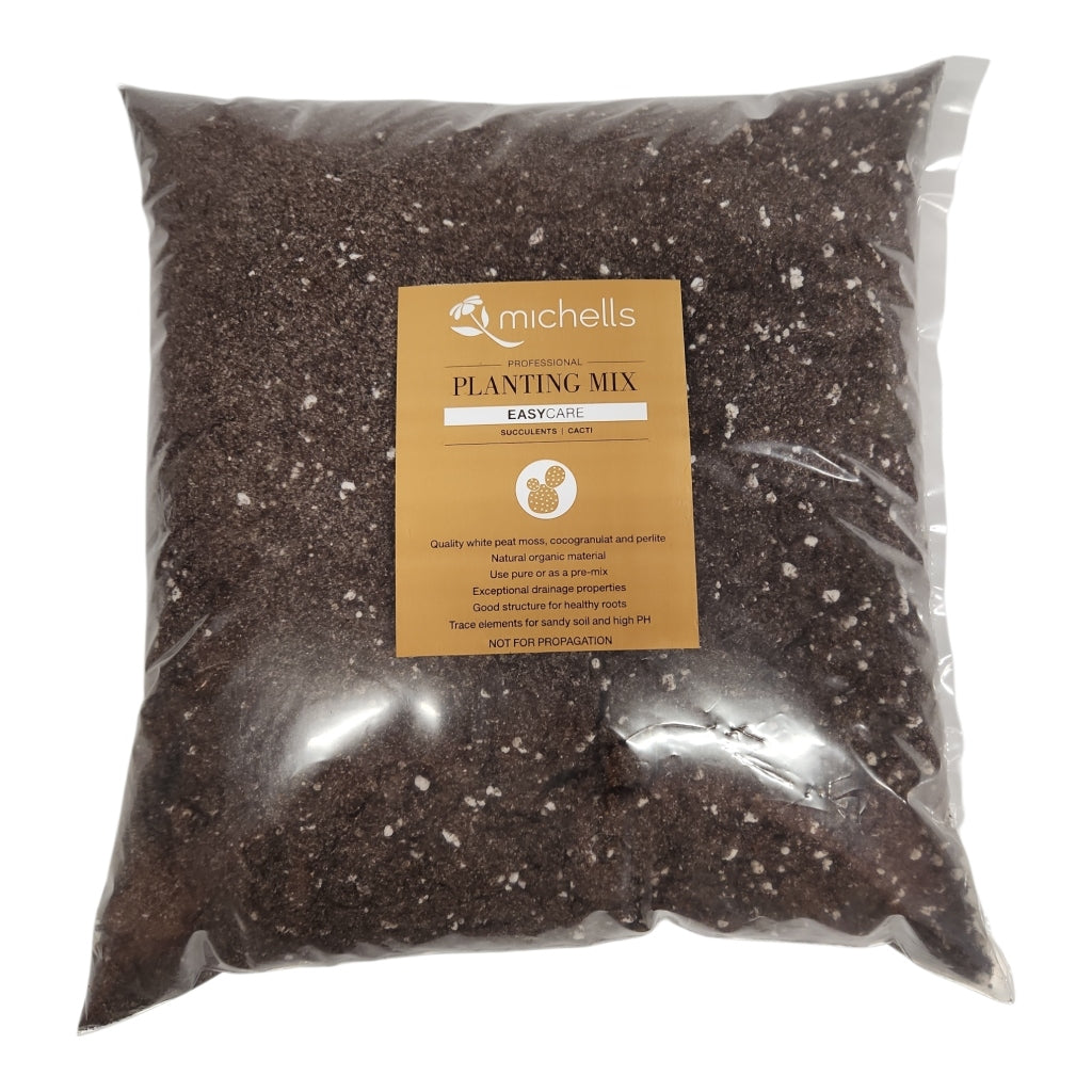 Premium Succulent & Cacti Soil