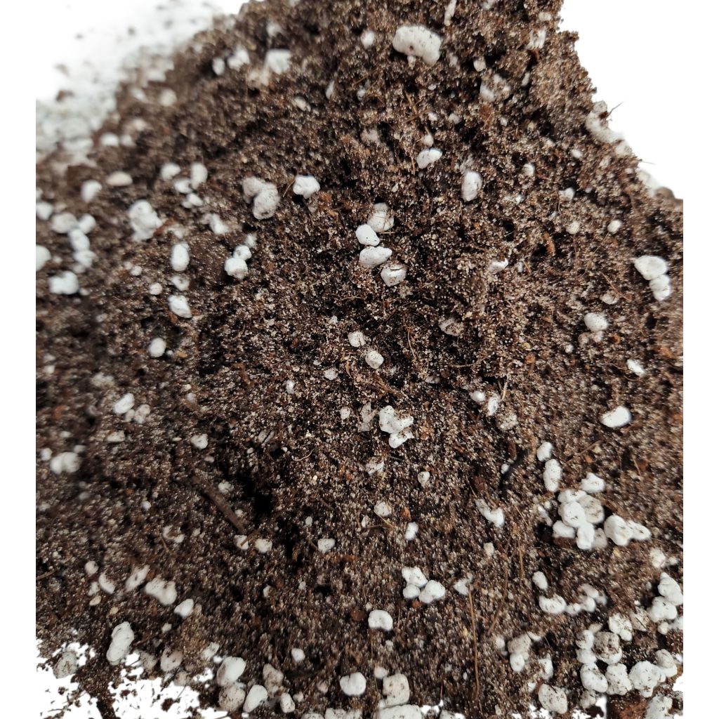 Premium Succulent & Cacti Soil