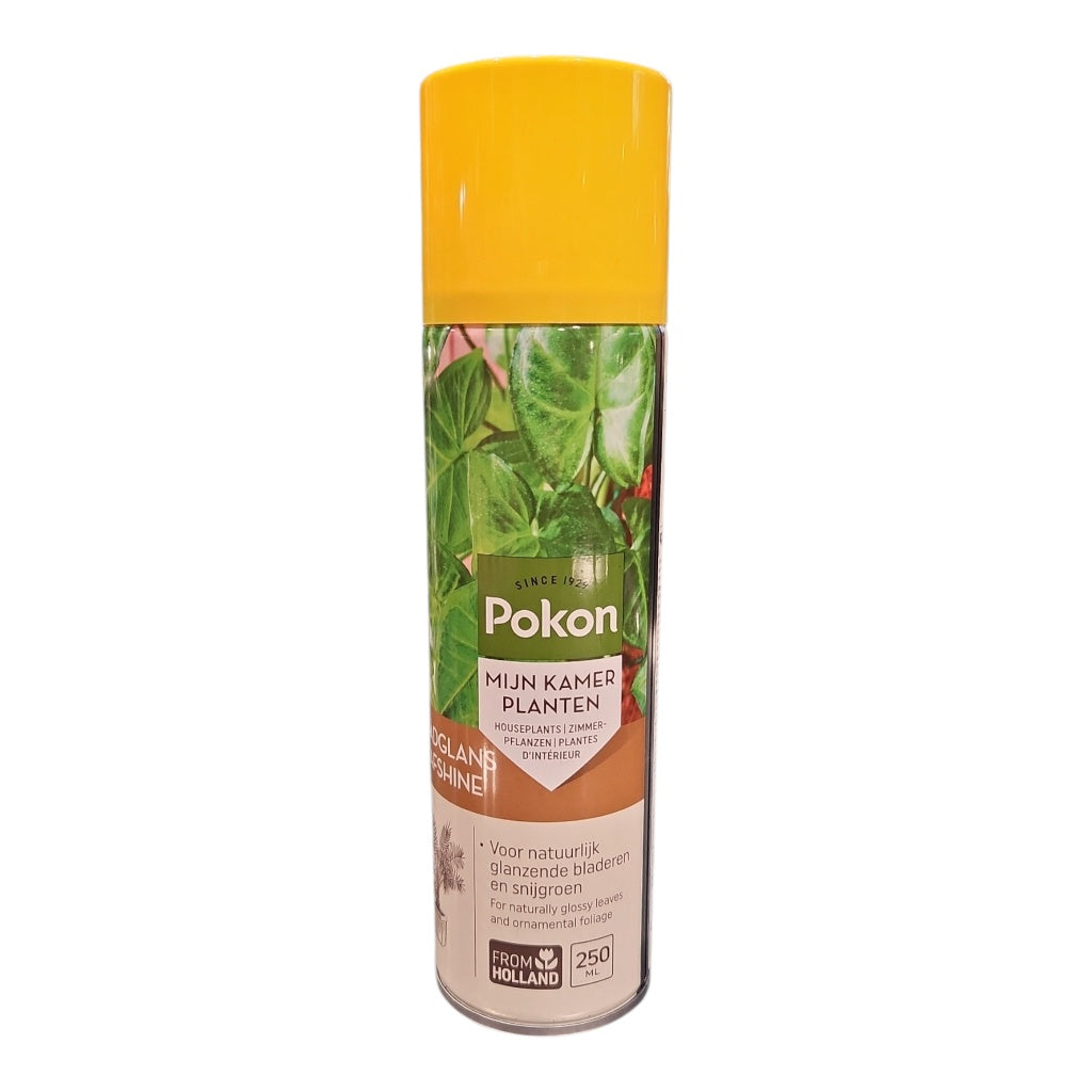 Pokon Leaf Shine 250ml