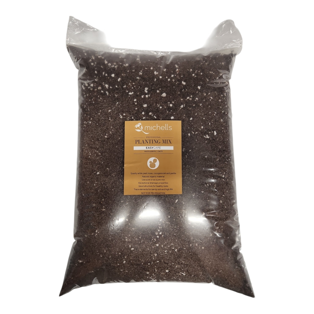 Premium Succulent & Cacti Soil