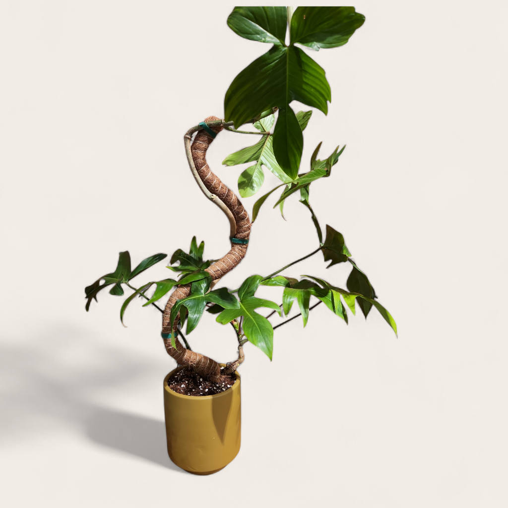 Grow Poles - Coco Coir Totem Bendable