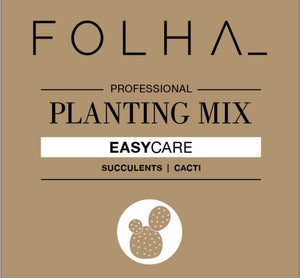 Premium Succulent & Cacti Mix 2L