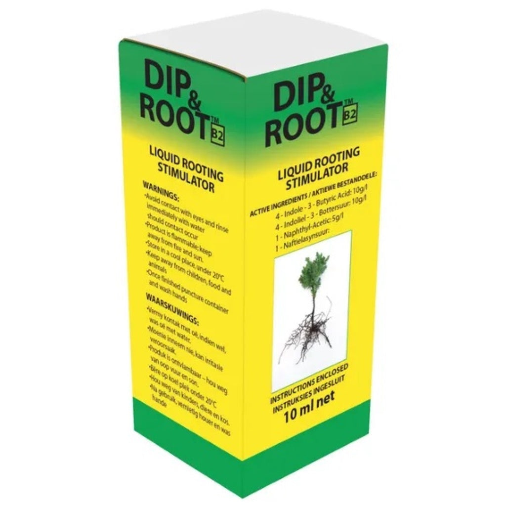 Dip & Root 10ml