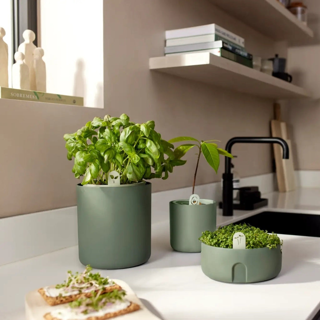 elho Magic Microgreens - Leaf Green