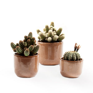 Handmade Ceramic Pot Cactus