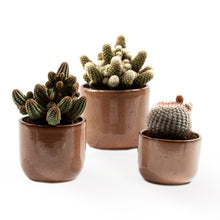 Load image into Gallery viewer, Handmade Ceramic Pot Cactus
