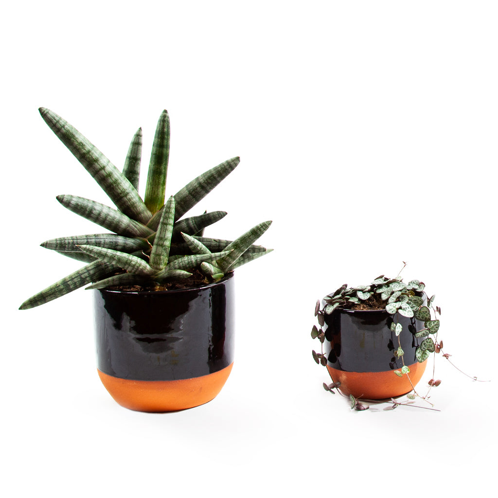 Handmade Ceramic Pot Dipped Terracotta