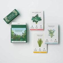 Load image into Gallery viewer, Houseplant Care Cards
