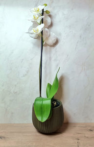 Combo Handmade Mira Pot Dark Green & Moth Orchid