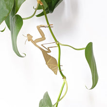 Load image into Gallery viewer, Brass Plant Animals
