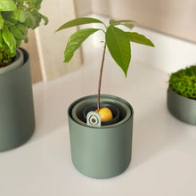 Load image into Gallery viewer, Elho Amazing Avocado Pot - Leaf Green
