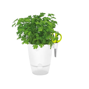 elho Brussels Herb Planter