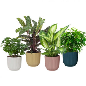 elho Vibes Fold Round Pot