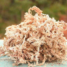 Load image into Gallery viewer, Sphagnum Moss 2L
