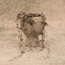 Load image into Gallery viewer, Handmade Stoneware Pot - Chi Pot
